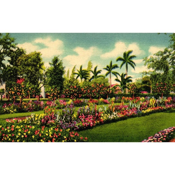Other - Postcard bright flowers and orange trees in a Miami estate Florida